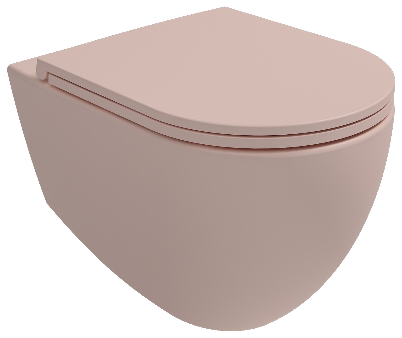 Infinity Due Asma Klozet Somon - CleaRim Plus